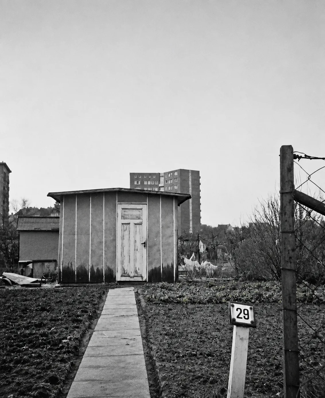 Zeichnung Festzeitschrift altes SW Photo