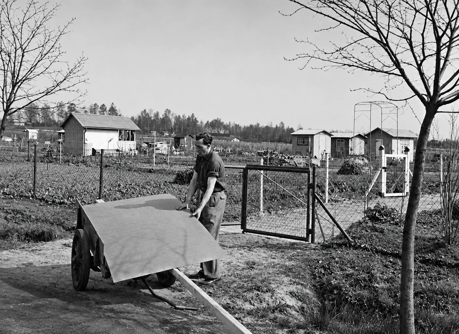 Zeichnung Festzeitschrift altes SW Photo